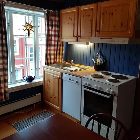 Ferienwohnung Houmbgaarden Røros Exterior foto